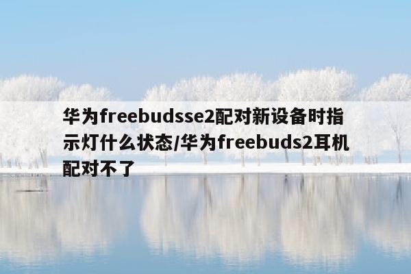 华为freebudsse2配对新设备时指示灯什么状态/华为freebuds2耳机配对不了