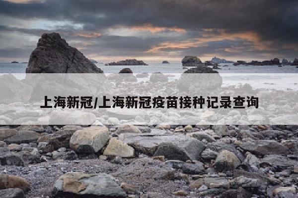 上海新冠/上海新冠疫苗接种记录查询