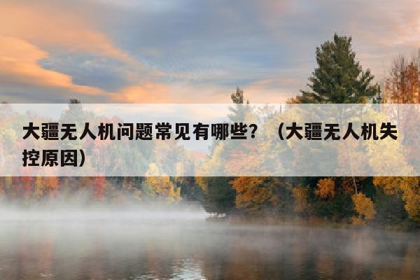 大疆无人机问题常见有哪些？（大疆无人机失控原因）