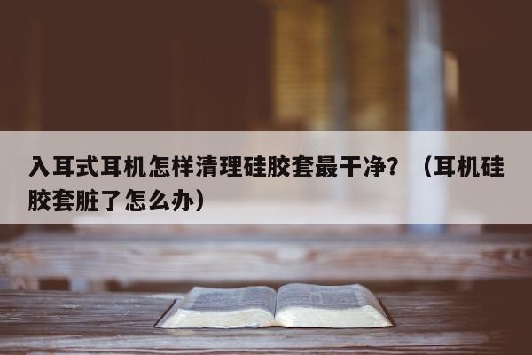 入耳式耳机怎样清理硅胶套最干净？（耳机硅胶套脏了怎么办）