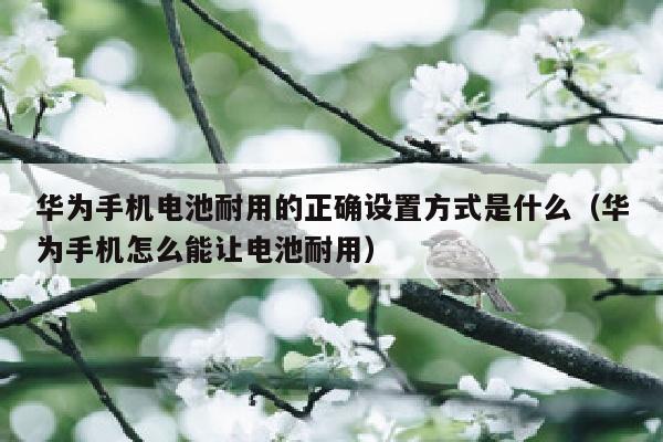 华为手机电池耐用的正确设置方式是什么（华为手机怎么能让电池耐用）