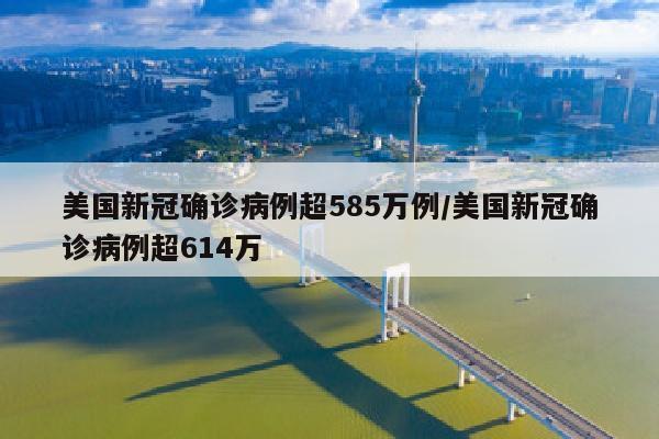 美国新冠确诊病例超585万例/美国新冠确诊病例超614万