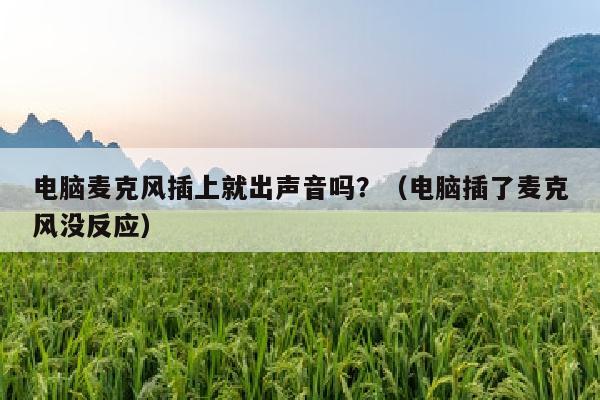 电脑麦克风插上就出声音吗？（电脑插了麦克风没反应）