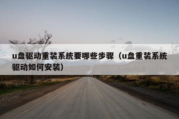 u盘驱动重装系统要哪些步骤（u盘重装系统驱动如何安装）