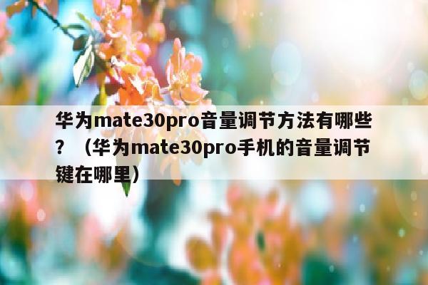 华为mate30pro音量调节方法有哪些？（华为mate30pro手机的音量调节键在哪里）