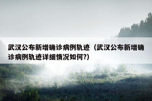 武汉公布新增确诊病例轨迹（武汉公布新增确诊病例轨迹详细情况如何?）