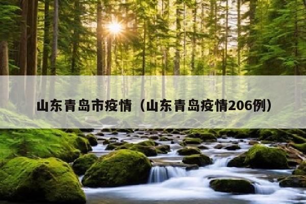 山东青岛市疫情（山东青岛疫情206例）