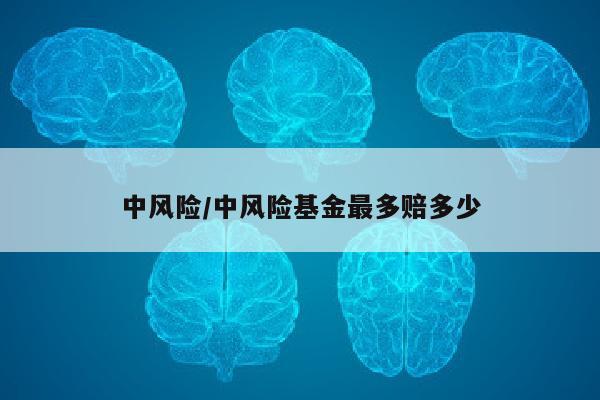 中风险/中风险基金最多赔多少