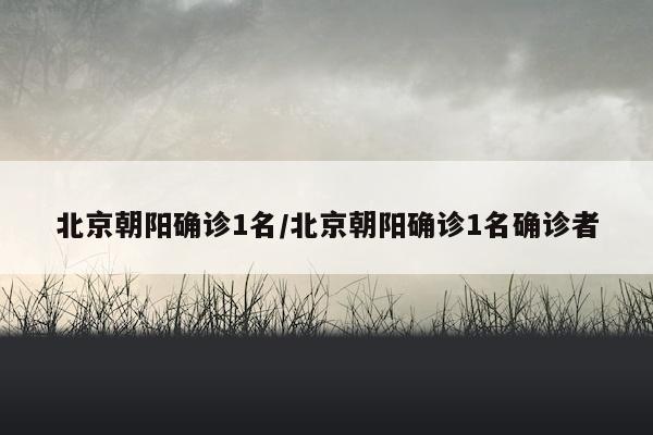 北京朝阳确诊1名/北京朝阳确诊1名确诊者