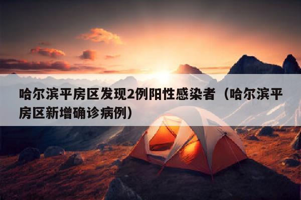 哈尔滨平房区发现2例阳性感染者（哈尔滨平房区新增确诊病例）