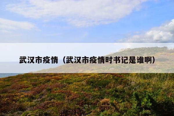 武汉市疫情（武汉市疫情时书记是谁啊）