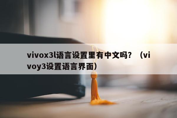 vivox3l语言设置里有中文吗？（vivoy3设置语言界面）