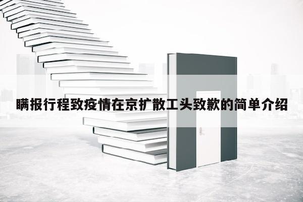 瞒报行程致疫情在京扩散工头致歉的简单介绍