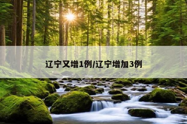辽宁又增1例/辽宁增加3例