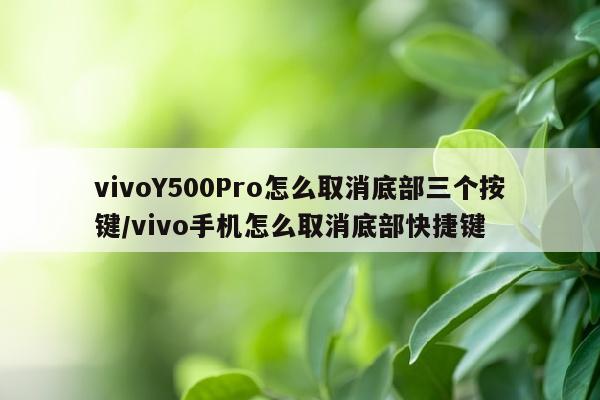 vivoY500Pro怎么取消底部三个按键/vivo手机怎么取消底部快捷键