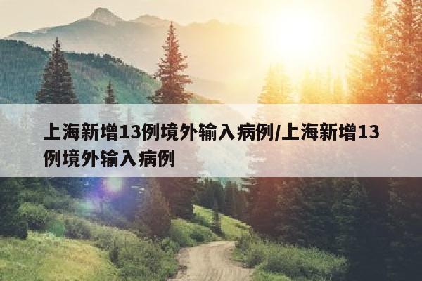 上海新增13例境外输入病例/上海新增13例境外输入病例