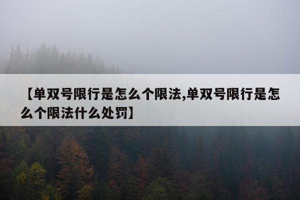 【单双号限行是怎么个限法,单双号限行是怎么个限法什么处罚】