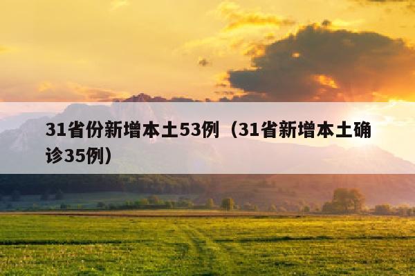 31省份新增本土53例（31省新增本土确诊35例）