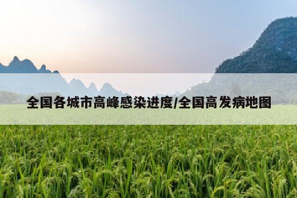 全国各城市高峰感染进度/全国高发病地图