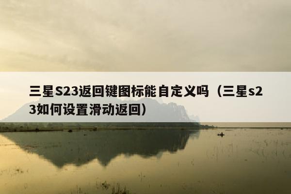 三星S23返回键图标能自定义吗（三星s23如何设置滑动返回）